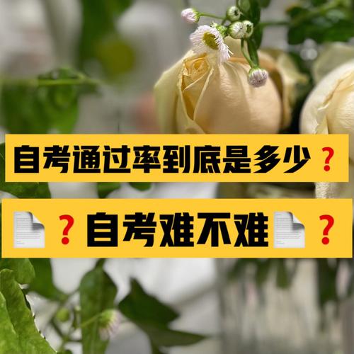 自考究竟有多難？難在哪里？ - 腿腿教學網